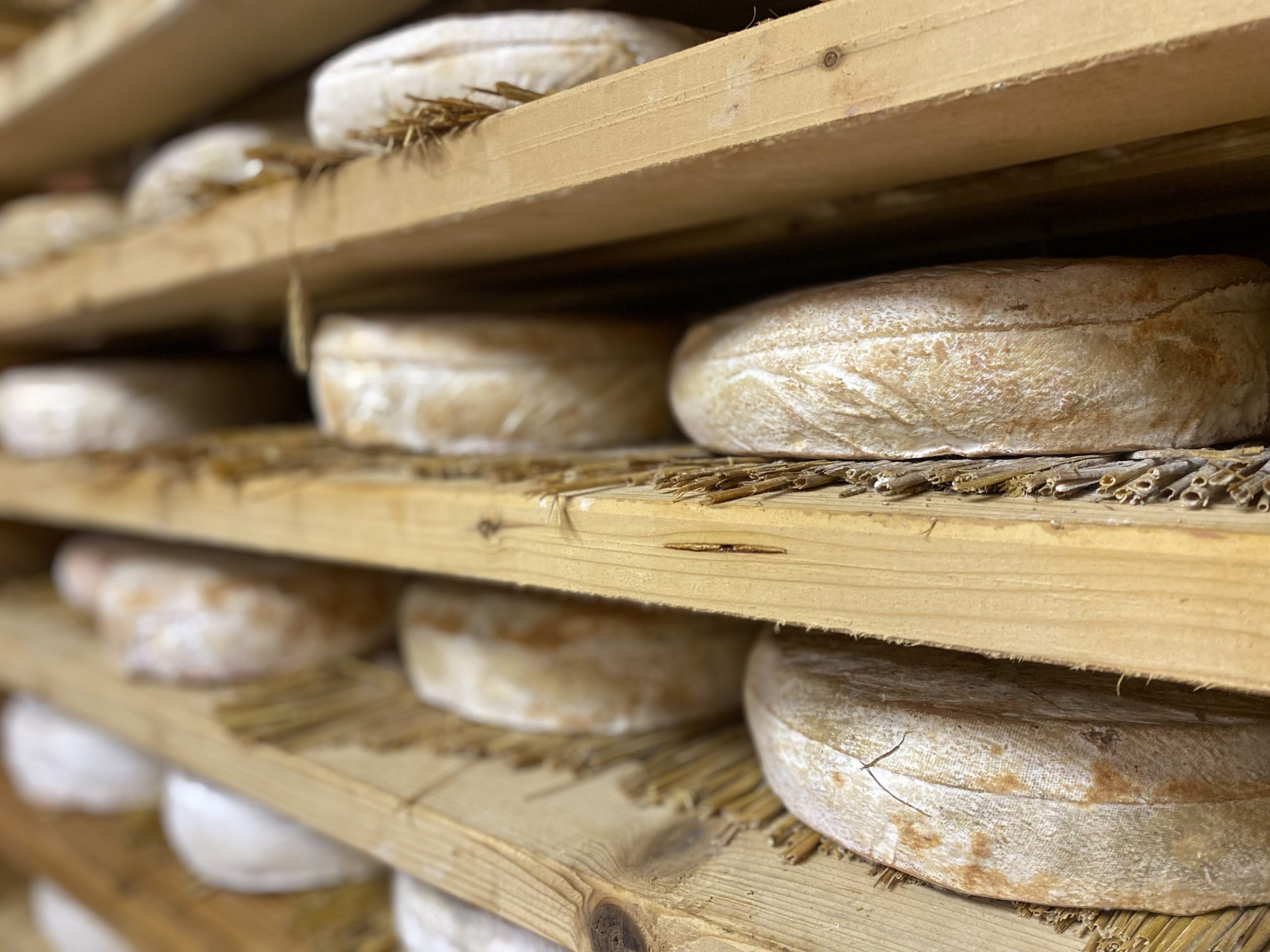 Le Fromentin – Image 2